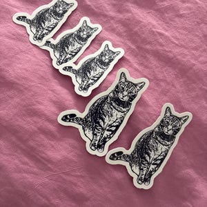 Jesse added a photo of their purchase