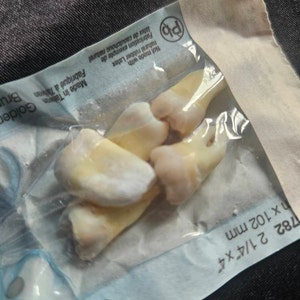 100% REAL human teeth, STERILIZED, for jewelry, for dental students, 5 count of human POSTERIOR teeth, B Grade molar and bicuspid random