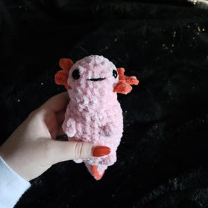Abby a ajouté une photo de son achat