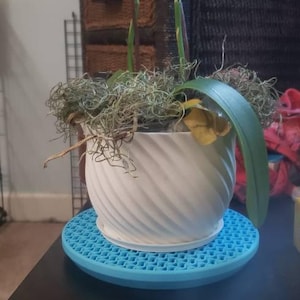 Gwendolen added a photo of their purchase