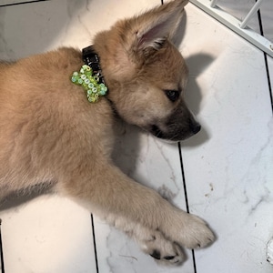Hailey added a photo of their purchase