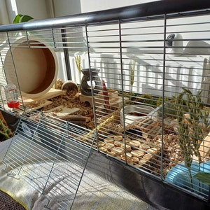 Elinor added a photo of their purchase