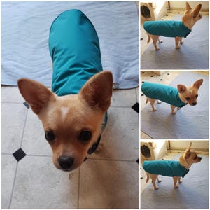 Lucia added a photo of their purchase