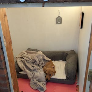Kat added a photo of their purchase