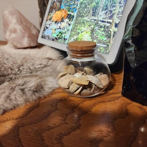 K added a photo of their purchase