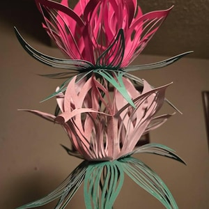 Vicki added a photo of their purchase