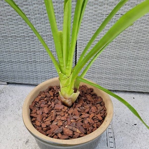 Keith added a photo of their purchase