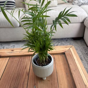 Cindy added a photo of their purchase