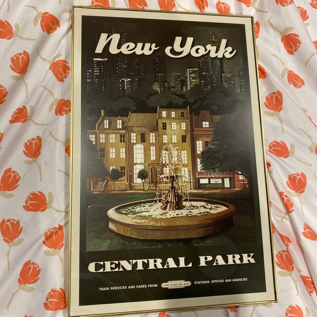 Affiche DOZ New York City - Central Park