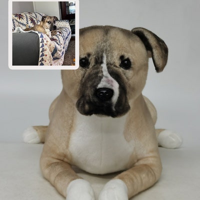 Custom Pet Handmade Stuffed Clone, Custom Pet Stuffed Animal, Custom
