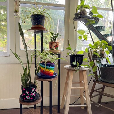 Blooming Beauties Design Planter, Unique Design Painted Clay Pots That ...