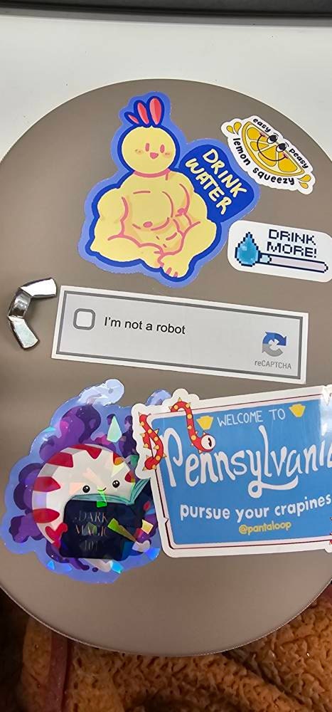 reCAPTCHA Sticker | Internet Security Decal | I Am Not a Robot | Funny Laptop Sticker | Geek Gift
