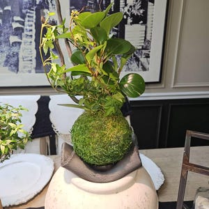 Comprador de Etsy ha añadido una foto de su compra