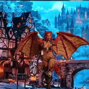 Steve added a photo of their purchase