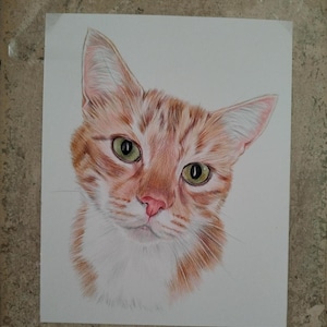Laurie added a photo of their purchase