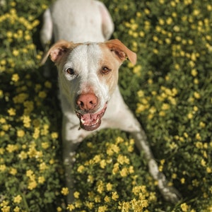 Katie hat ein Foto des gekauften Artikels hinzugefügt