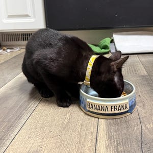 Mia added a photo of their purchase