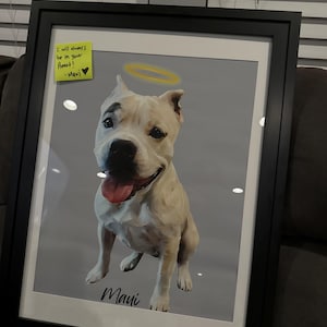 Carlos added a photo of their purchase