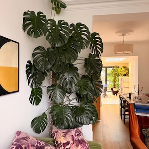 Chris added a photo of their purchase