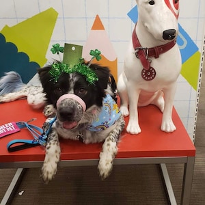 Dorothy added a photo of their purchase