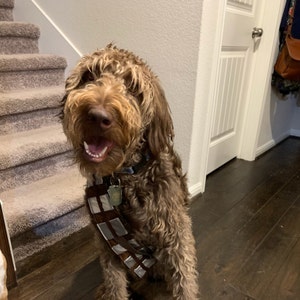 chewbacca dog belt