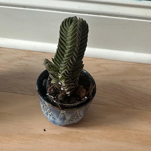 Annette added a photo of their purchase