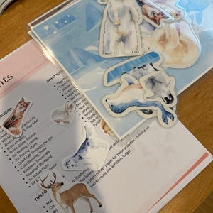 Taylor added a photo of their purchase