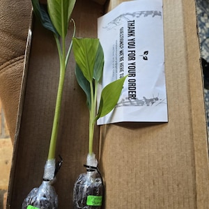 Dean ha añadido una foto de su compra