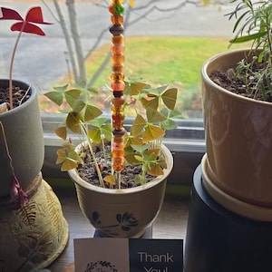 Barbara added a photo of their purchase