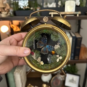 Samantha added a photo of their purchase