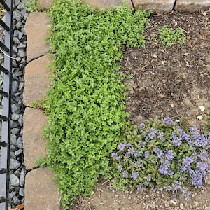 Carolyn added a photo of their purchase