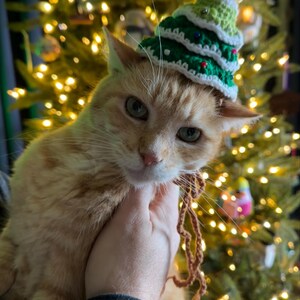 Ree ha añadido una foto de su compra