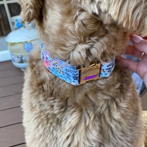 Personalized Dog Collars Laser Engraved Metal Summer Wild - Etsy