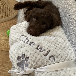 sally added a photo of their purchase