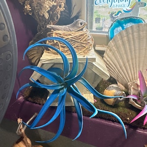 Kathy added a photo of their purchase