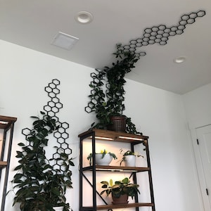 Candice added a photo of their purchase