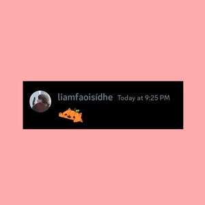 Liam added a photo of their purchase
