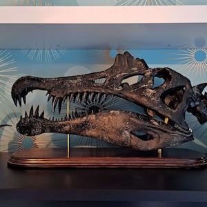 スピノサウルスの頭蓋骨レプリカ木製ベース - 博物館品質（56 cm