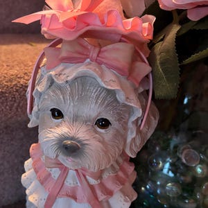 Dolores added a photo of their purchase