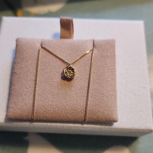 Isobel added a photo of their purchase