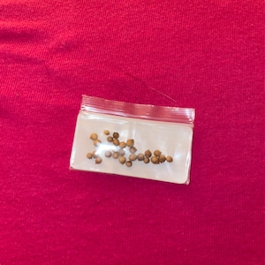 Natalie ha añadido una foto de su compra