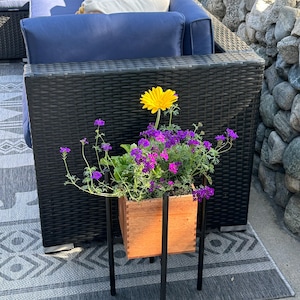Handmade Natural Hardwood Planter Box: Walnut, Maple, Cherry, Mahogany