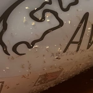 yingtingx a ajouté une photo de son achat