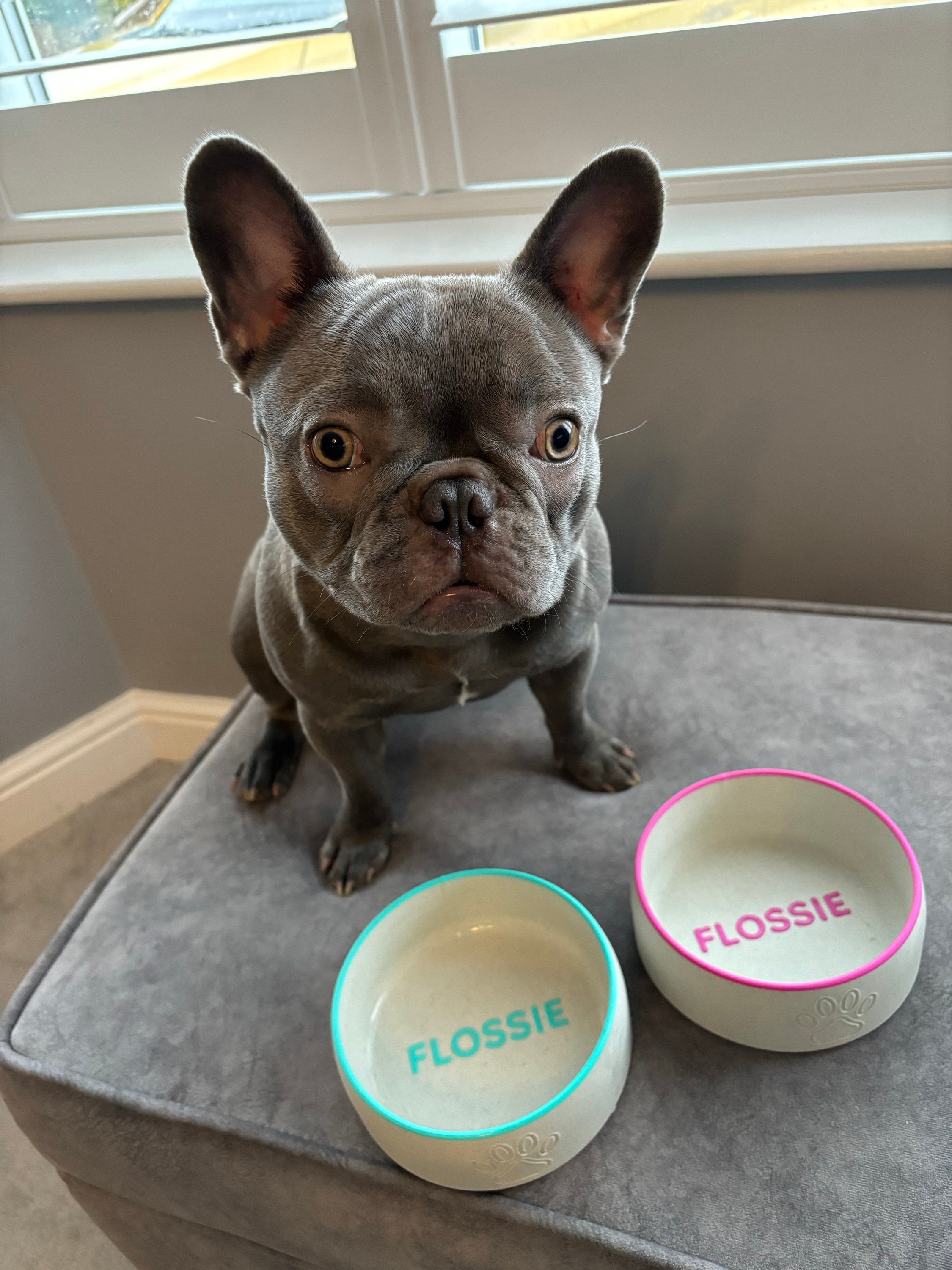 Personalized Dog Bowl with Name