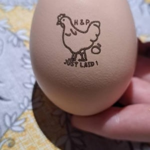 Heather added a photo of their purchase