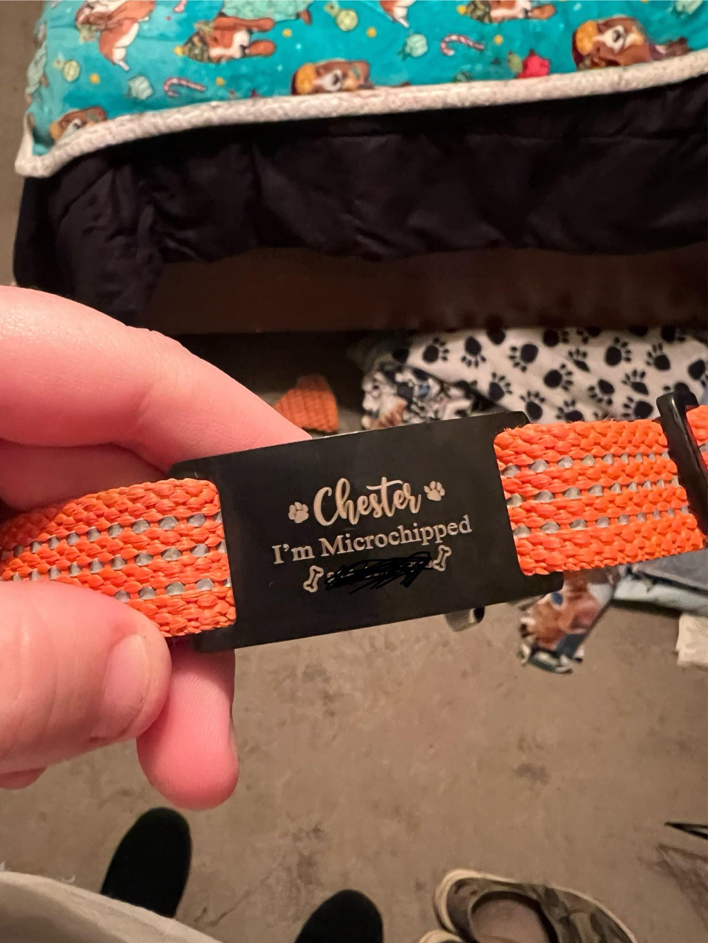 Silent dog tag personalized,Slide on dog tag,Dog Tags For Dogs,Custom Dog Name Tag,Engraved Pet ID Tag,Dog Tag Collar,Cat Tag,Puppy Tag
