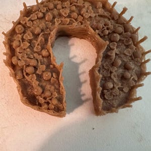 Cheryl added a photo of their purchase