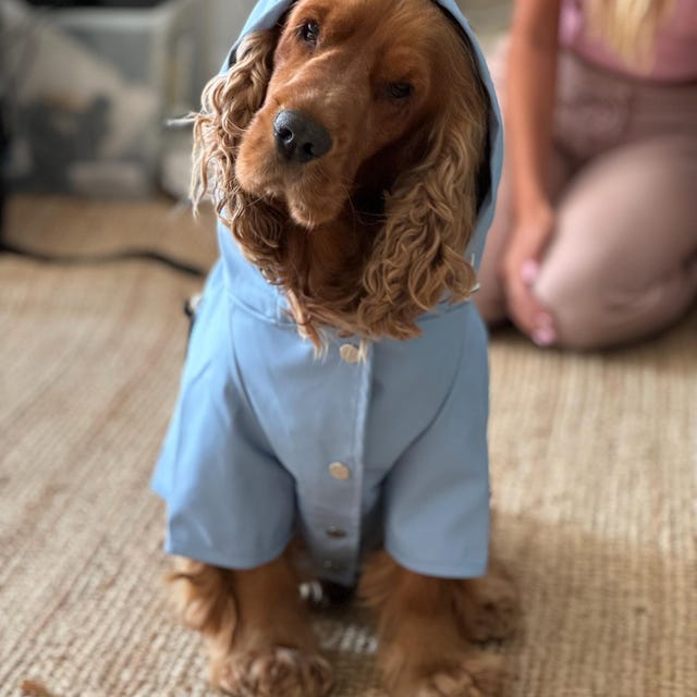 Dog Human Matching Raincoat Matching Set for You and Your Pet Matching Pet and Owner Set Pet Owner Dog Lover Gift Etsy