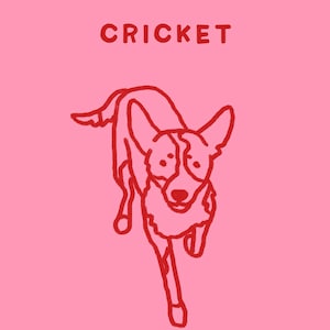 rnmm added a photo of their purchase