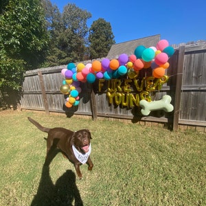 bhguest91 added a photo of their purchase